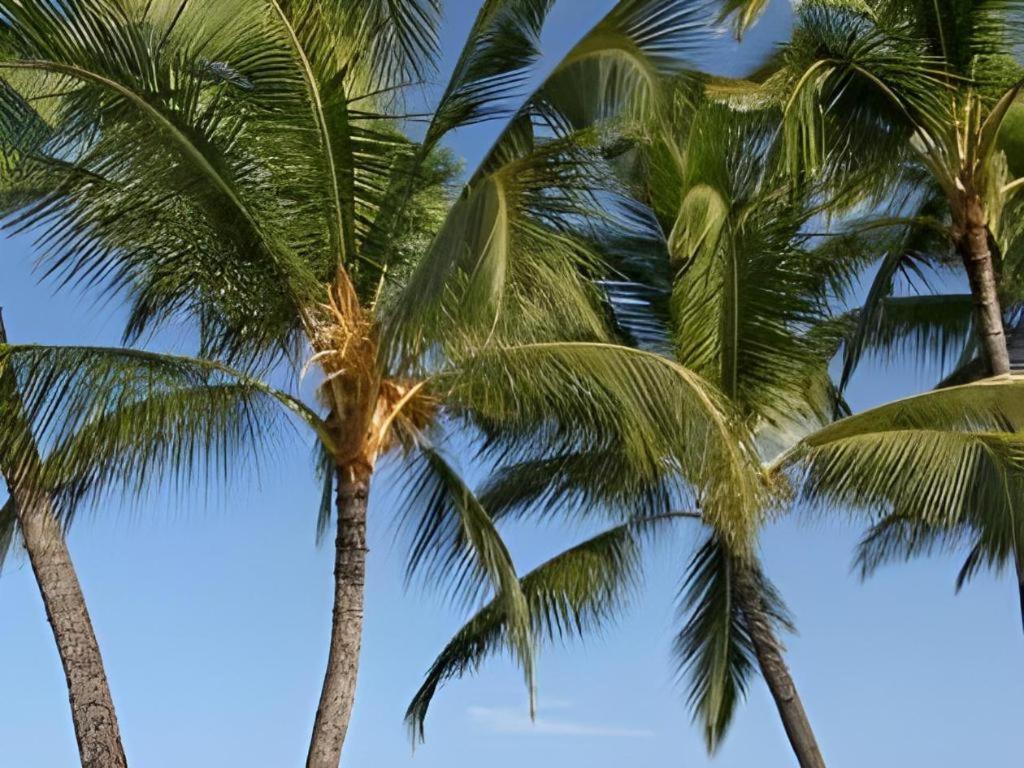 Wyndham Royal Sea Cliff Resort Kailua-Kona Buitenkant foto