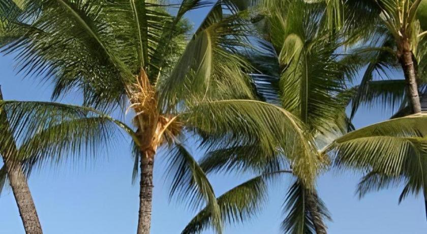 Wyndham Royal Sea Cliff Resort Kailua-Kona Buitenkant foto