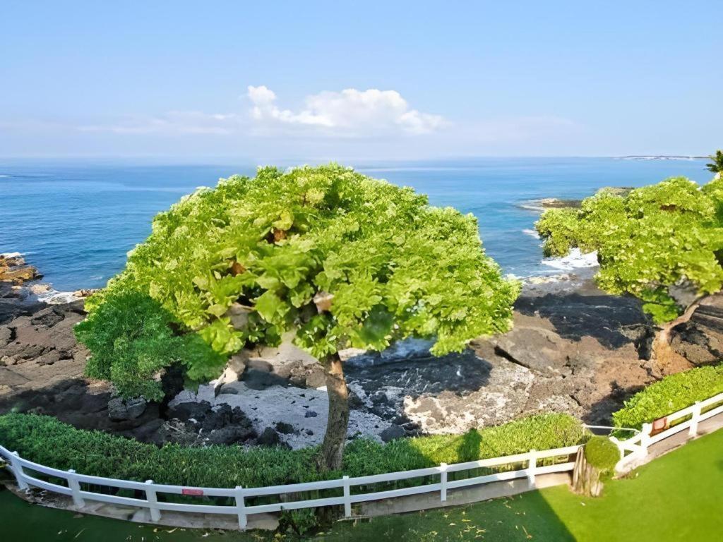 Wyndham Royal Sea Cliff Resort Kailua-Kona Buitenkant foto